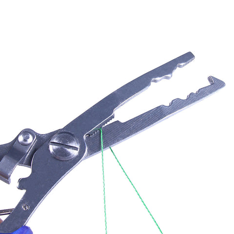 H15ed157d7a454da7ac1a6c1be082b6aaf.jpg