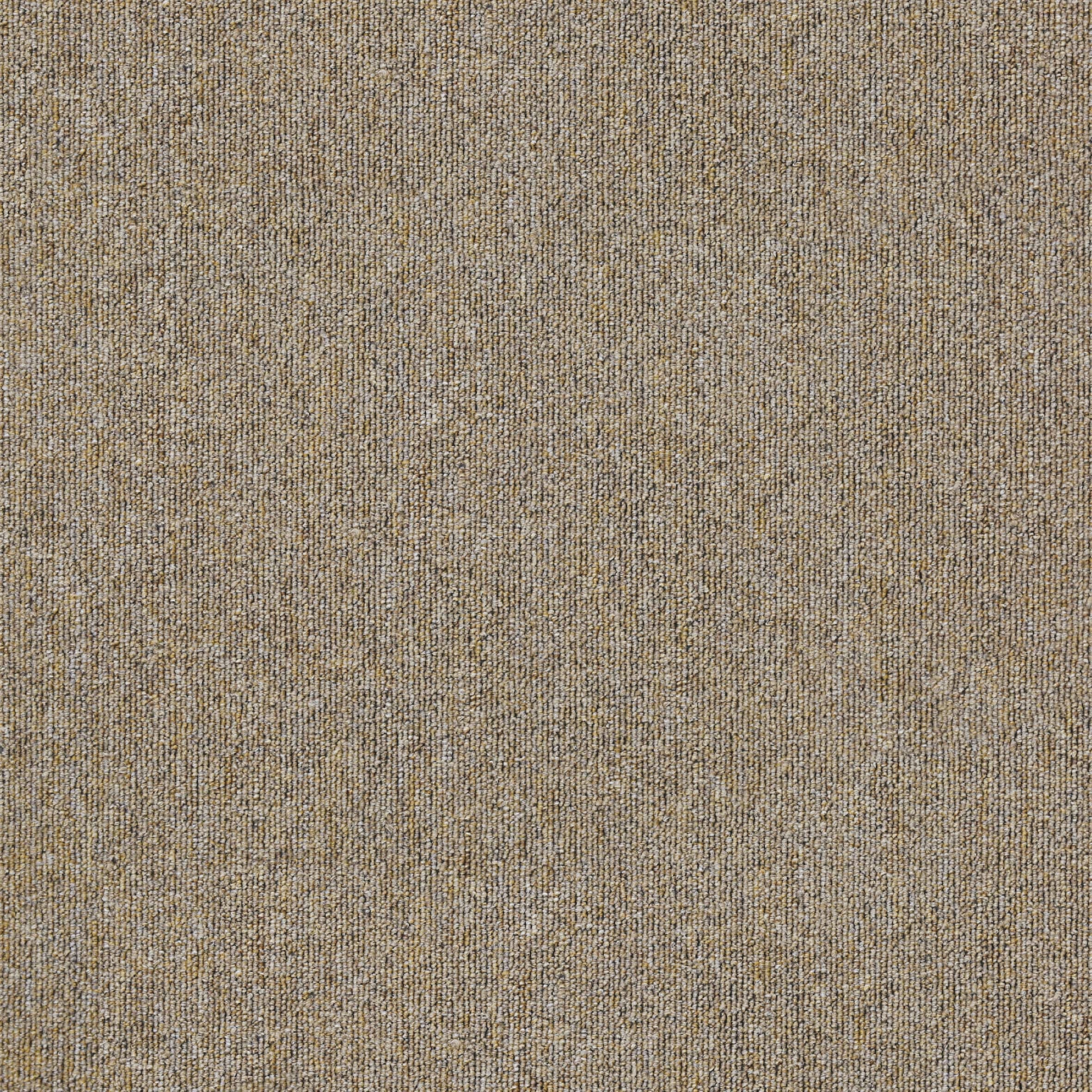 H83371745ec564d7aab3a56d7c4ba29d6k.jpg