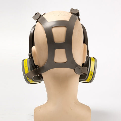 6800 Dust/Gas Mask With Filters&Cottons Full Face Respirator For Spray Paint Coating Chemical Industry Welding Anti-Fog Reusable