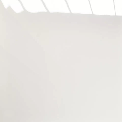 Ha4945e00a10341ad9e41cf473bf847c9c.jpg